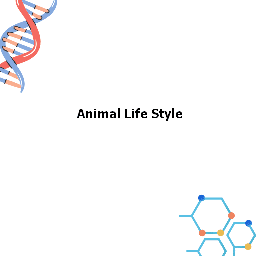 Animal Life Style